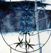 [blue bonnet]