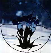 [fringed gentian]