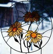 [golden daisy]