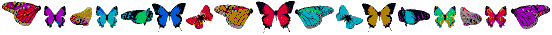 bflybar.gif (7361 bytes)