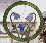 [morning glories]