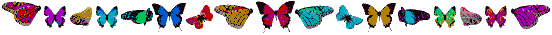 bflybar.gif (7361 bytes)